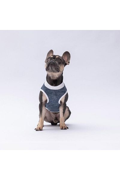 Pawstar Navy Blue Space Time Cat Dog T-Shirt - Cat Dog Apparel