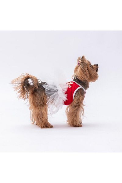 Pawstar Girl Power Cat Dog Dress in Red - Cat Dog Apparel