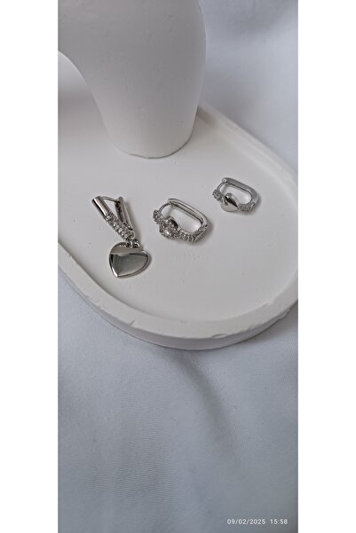 ARİ TAKI Steel Earrings with Silver Hearts 3S