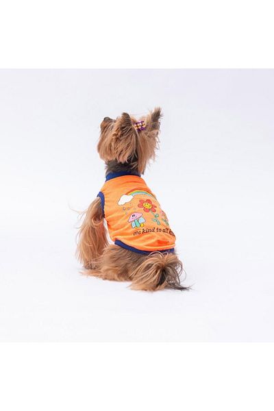 Pawstar Neon Orange Be Kind Cat Dog T-Shirt - Cat Dog Apparel