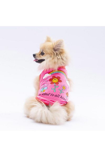 Pawstar Neon Pink Be Kind Cat Dog T-Shirt - Cat Dog Apparel