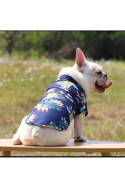 dukart Pet Small Breed Dog Shirt, Cat Shirt