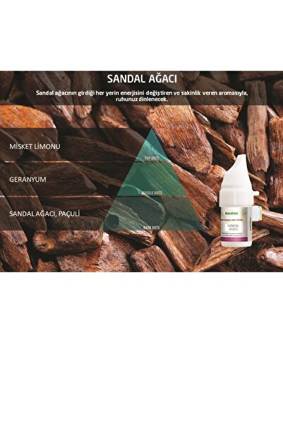 Rulopak 200538 277 Sandal Ağacı Koku Kartuşu