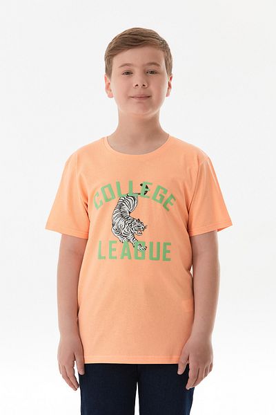 Fulla Moda Tiger Printed Boys' T-Shirt