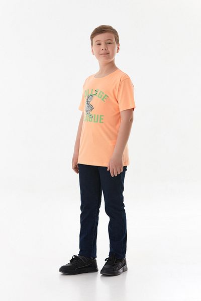 Fulla Moda Tiger Printed Boys' T-Shirt