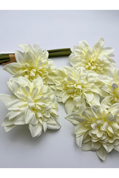EvremStore YILDIZ ÇİÇEĞİ 6'LI - 10 cm