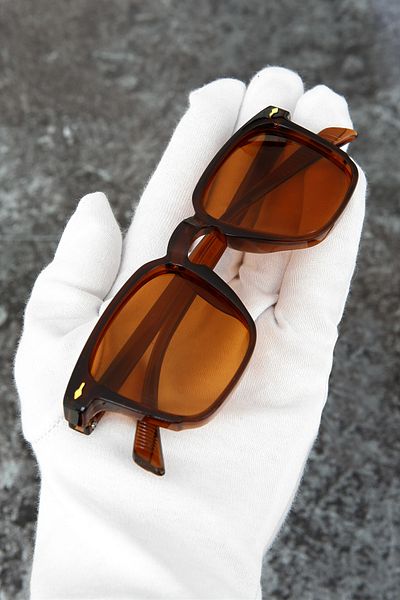 LUPİX Brown Frame Brown Glasses Women Men Unisex Sunglasses