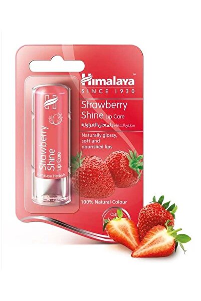 Himalaya مرطب شفاه بنكهة الفراولة الحمراء اللامعة 4.5 جرام