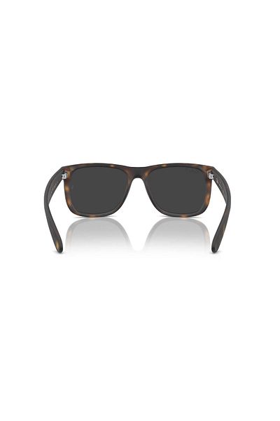 Ray-Ban Sunglasses Rb4165 55 865/87