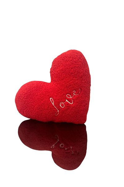 DRN Love Decorative Teddy Embroidered Premium Bead Silicone Padded Pillow