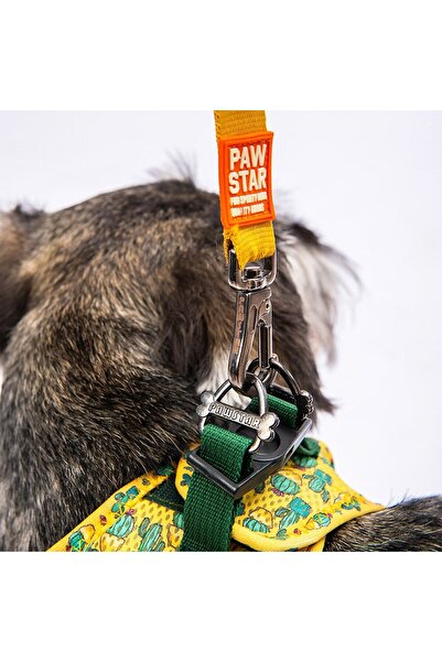 Pawstar Cactus Air-mesh Göğüs Tasması Kedi Köpek Göğüs Tasması Xsmall