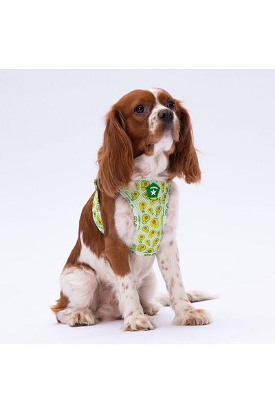 Pawstar Avocado Air-mesh Chest Collar Cat Dog Chest Collar