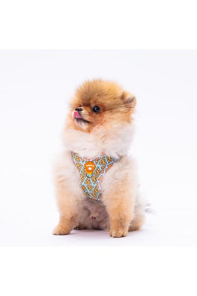 Pawstar Pizza Air-mesh Harness Cat Dog Harness