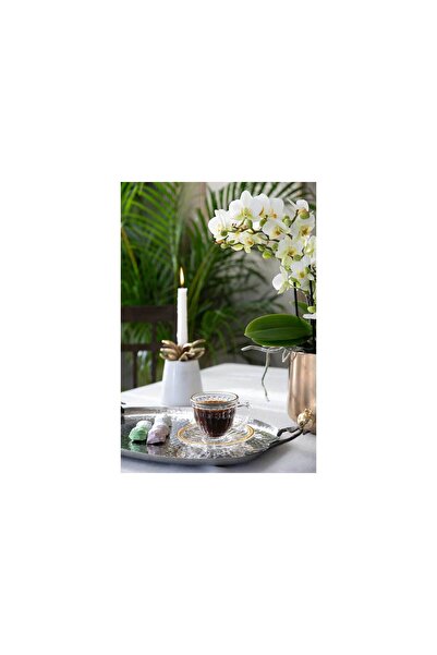 Home Sweet Home ZP27004GTW/BH12-M CAY FİNCANI 190mL 6'LI