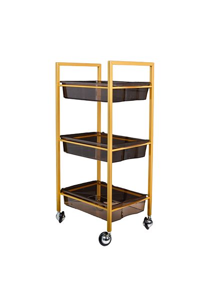 Cupio 3-Shelf Living Room Apprentice - Elegant MZT-868-193
