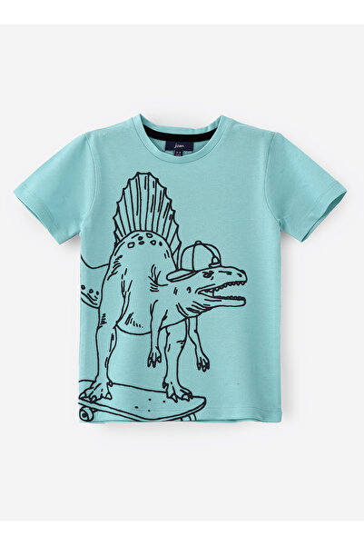 Basicxx Boys' Mint Green Dinosaur Graphic Cotton T-Shirt