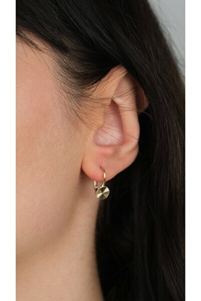 Arpaş 14 Ayar Altın Tek Pırpırlı Klipsli Küpe 1017