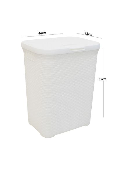 Generic Plastic laundry basket with lid