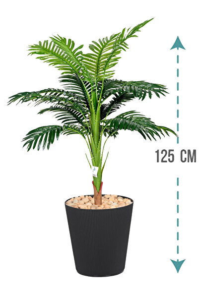 Generic Small palm tree in a cylindrical plastic container