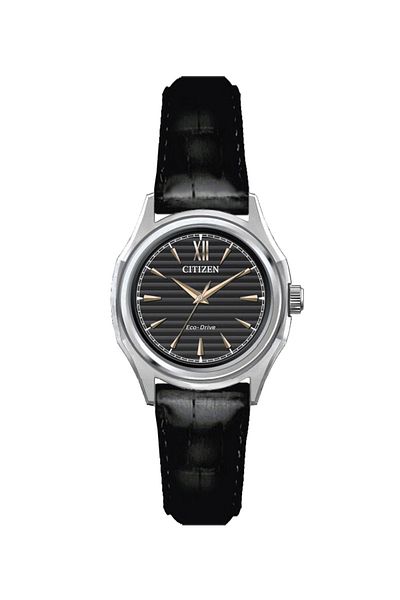 Citizen Fe2110-14e Eco Drive Women's Wristwatch