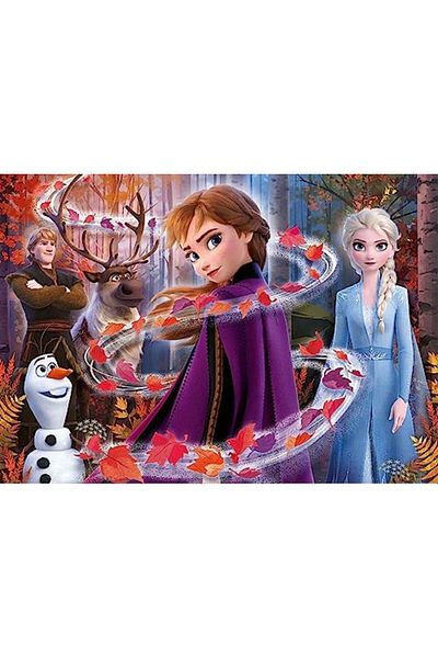 STOREMAX Ysstorex - 104 Piece Glitter Puzzle - Frozen 2 - 1 Starcolxlection 655141