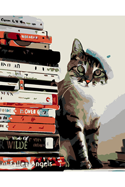 wombhobby KİTAP MERAKLISI Sayılarla Boyama Seti 40x50 Çerçeveli (Kasnağa ) Ge...