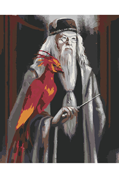 wombhobby DUMBLEDORE VE ANKA KUŞU Sayılarla Boyama Seti 40x50 Çerçevesiz RULO...
