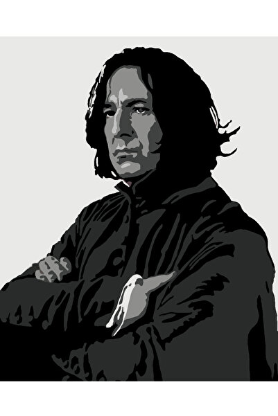 wombhobby SNAPE Sayılarla Boyama Seti 40x50 Çerçeveli (Kasnağa ) Gerili