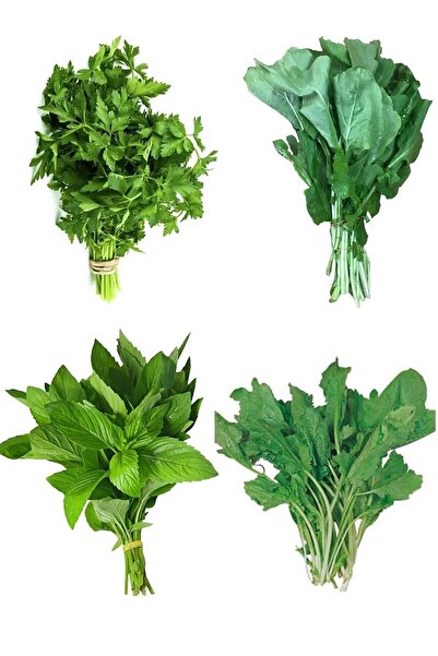 Genel Markalar Süper 4 'lü Yeşillik Paketi - Maydanoz, Roka, Nane, Tere Otu