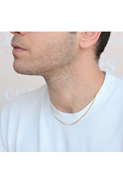 sedaucess 316L 1.Sınıf Çelik İnce, Yassı, Yılan Model İtalyan Zincir Unisex K...