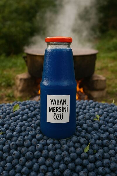 YABAN MERSİNİ ÖZÜ 1450 GR