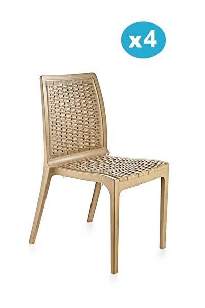 Omnipazar SY-2523 Rattan Bahçe Sandalye 4'lü Set