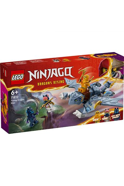 LEGO Building sets YOUNG DRAGON RIYU, LEGO 71810
