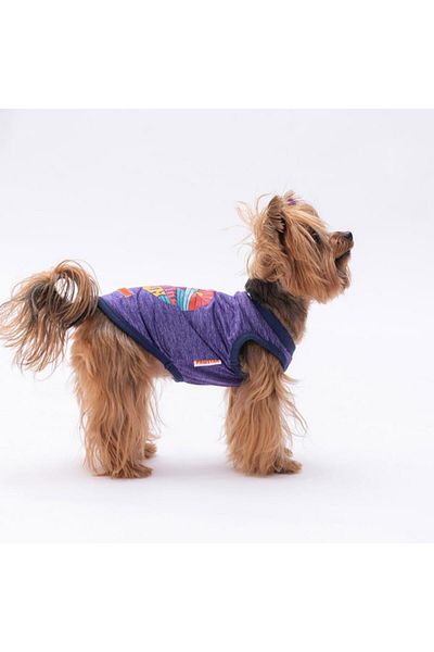 Pawstar Purple the Sun Cat Dog T-Shirt - Cat Dog Apparel