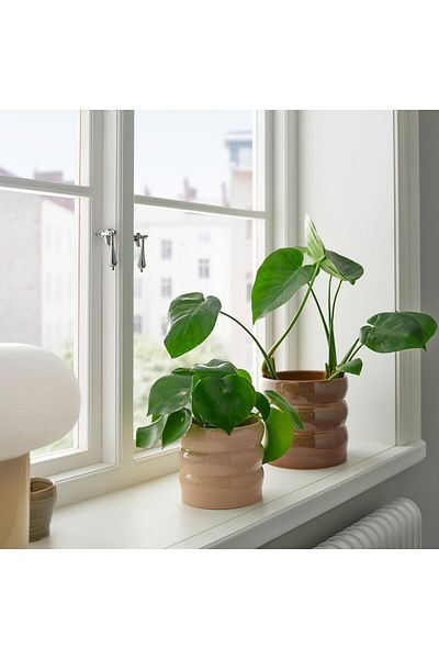 IKEA HASSELBUKETT Plant Pot
