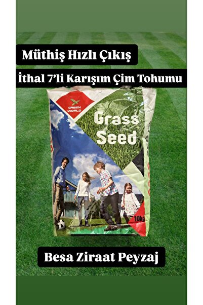 eb yeşil yaşam Çok Yıllık Çim Tohumu 5 Kg Uzun Ömürlü 7'lı Karışım Gölge ve A...