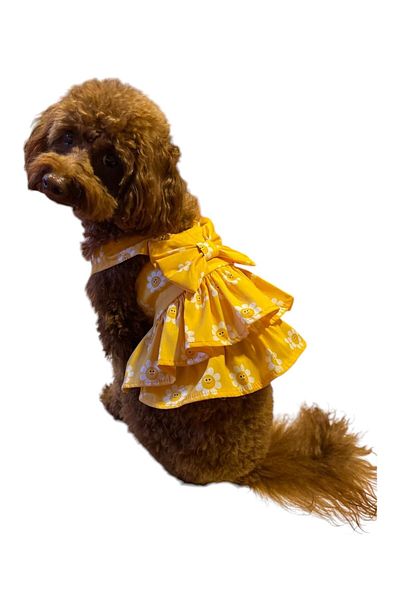 GedyCo Daisy Frilly Salopet Small Breed Dog Dress