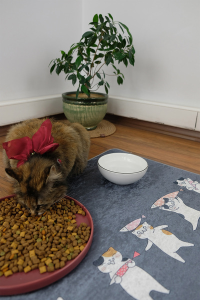 DEKOMOD Evcil Hayvan Figürlü Kedi Köpek Beslenme Mama Ve Su Matı Kolay Temizlenen Emici Paspas 50*70 cm