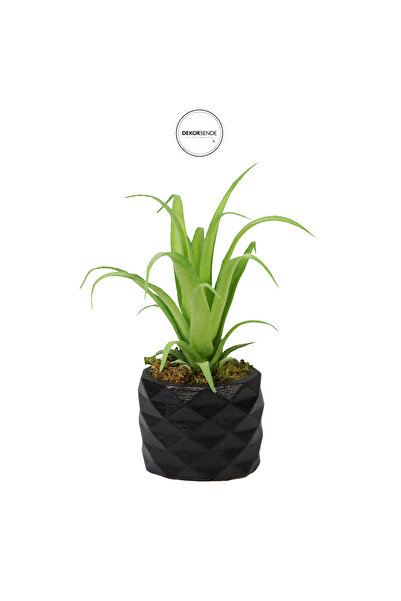 Dekorsende تيلاندسيا صناعية خضراء فاتحة مع أصيص 17 سم