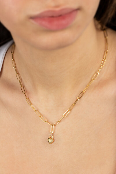 Lieza Kadın 925 Ayar Gümüş Ataç Zincirli Minimal Kalp Kolye