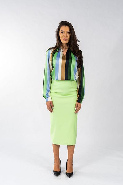 Gorgeaux Pastel Green Skirt and Top Set - L(40)