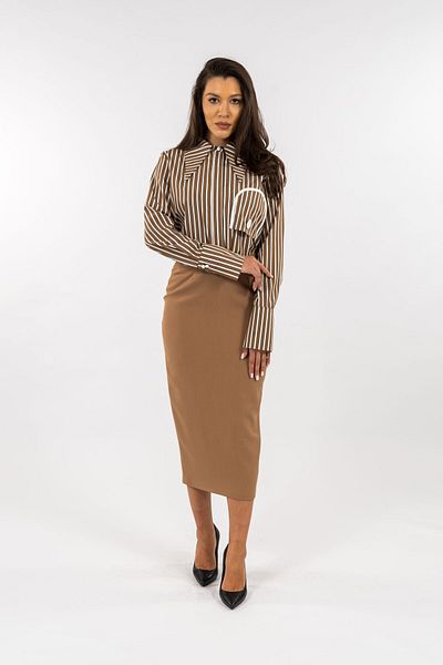 Gorgeaux Brown Striped Shirt and Pencil Skirt Set - 4XL(48)