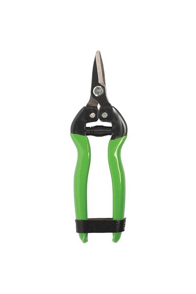 Formosa Tools Formosa 24207 - 17cm Short Flat Mouth Fruit Pick Citrus Scissors