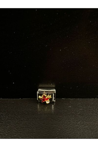 Mutenaura Stainless Steel Nomination Charm