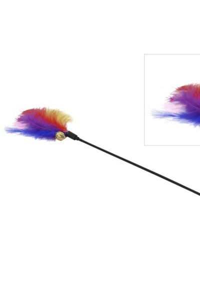 SAVA HOME COLLECTİON Cat Fishing Rod