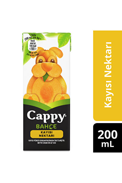 ZAYKA Cappy Kayısı Nektarı 200 Ml