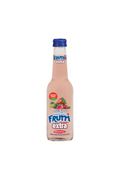 ZAYKA Uludağ Frutti Extra Orman Meyveli 250 Ml