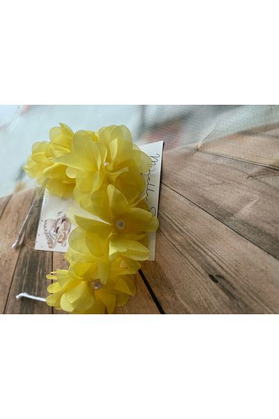 MİNELLASTORE Child Adult Bible Bible Bridesmaid 23 April School Holiday Crown