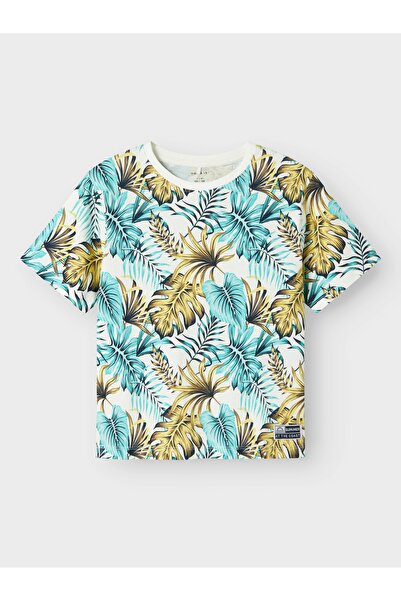 name ıt Nkmfango Ss Nreg Top Box