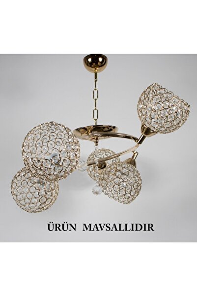 Mutlu Avize Mavsallı Oturma Odası,genç Odası,yatak Odası,mutfak,odası 5 Li